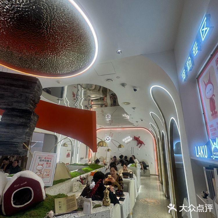 😻被这家猫咪主题餐厅辣哭,但我还想再来!