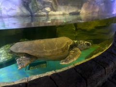 -多彩贵州城极地海洋世界