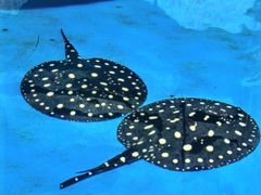 -泉城欧乐堡海洋极地世界