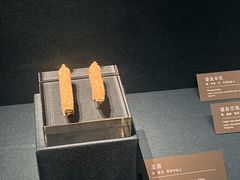 -亳州博物馆