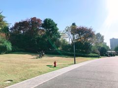 -杭州城北体育公园