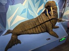 -国家自然博物馆