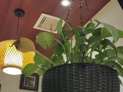 -蘇河湾·新鲁菜·泰山宴老店
