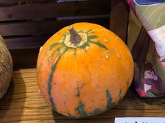 -乡田小墅(展览馆路JK FUN商城店)