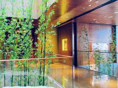 -广州富力君悦大酒店空中花园