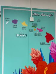 -呼拉汇舞蹈生活馆 Hawaii Hula&Tahiti Dance Studio