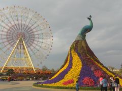 -七彩云南欢乐世界