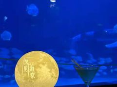 -烟台海昌鲸鲨海洋公园