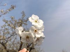 -南湖国家城市湿地公园