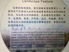 -盐城丹顶鹤湿地生态旅游区