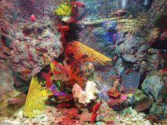 -太平洋海底世界