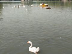 -达活泉公园