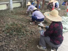 -陈云纪念馆