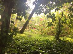 -白沙门生态公园