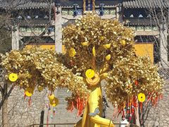 -淄博聊斋城景区