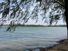 -丁香湖公园