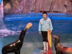 -烟台海昌鲸鲨海洋公园