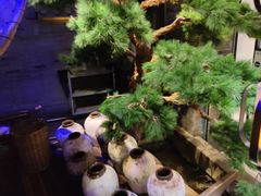 -绿茶餐厅(千岛湖银泰城店)