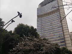 -裕和堂中医推拿艾灸(太古汇臻品店)