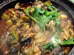 特色牛蛙煲-二楼老店重庆鸡公煲(真光路店)