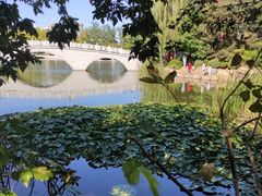 -大连植物园