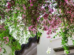 -深圳国际园林花卉博览园