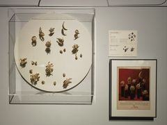 -清华大学艺术博物馆