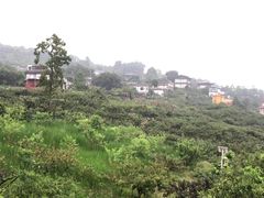 -观清澜疗愈民宿(龙泉山风景区店)
