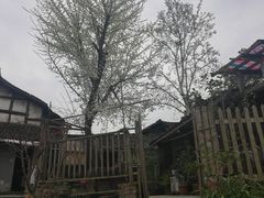-恩阳古镇