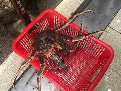 -蚝专家(北滘店)
