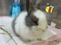 -萌兽医馆·眼科·异宠专科(三里屯店)