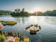 -深圳仙湖植物园