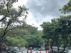 -满記土窑烧鷄波浪山莊