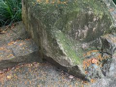 -杭州半山国家森林公园