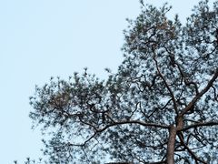 -东南悬空寺方广岩