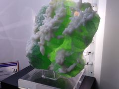 -中国地质大学逸夫博物馆