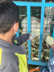 -小蜜蜂农场(凯德七宝购物广场店)