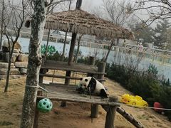 -西霞口神雕山野生动物世界