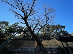 -惠山古镇·寄畅园