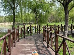 -贡湖湾湿地公园