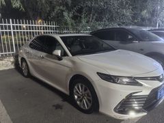 -XPEL旗舰店·汽车贴膜·隐形车衣·改色贴膜