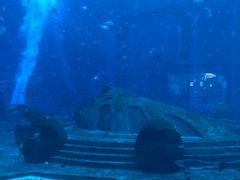 -亚龙湾海底世界