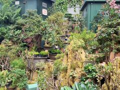 -青石桥花鸟鱼虫市场(叠翠城店)