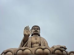 -龙口南山旅游景区