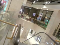 -捞王猪肚鸡火锅(财富中心店)