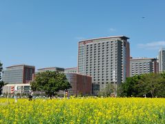 -光明小镇欢乐田园