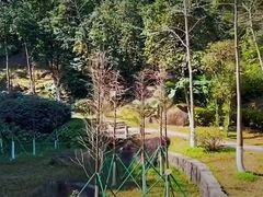 -火炉山森林公园