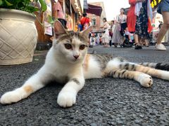 -老宅原住民沙茶面精品小吃(龙头路店)