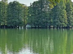 -国家植物园(地铁站)