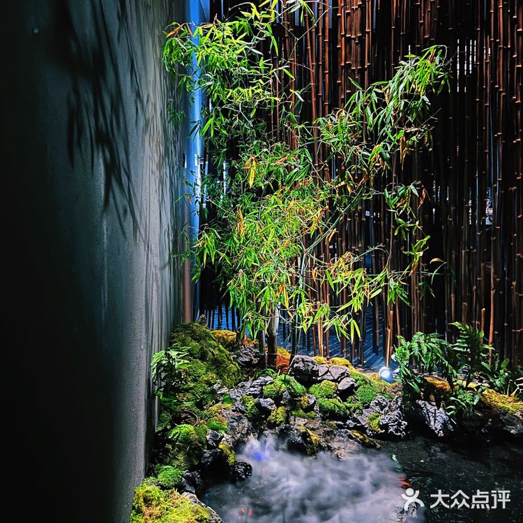 竹间茶宴 大隐于世 以茶会友